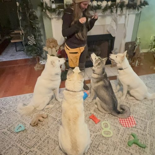 595106523 1164608309212763 3533082292351555230 n